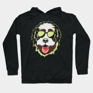 Bernedoodle Face Neon Light Color Hoodie